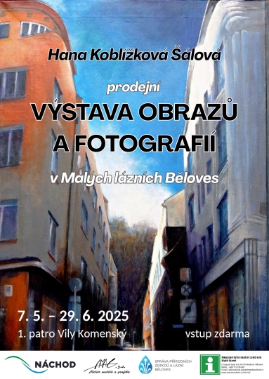 Hana Koblkov lov: prodejn vstava obraz a fotografi