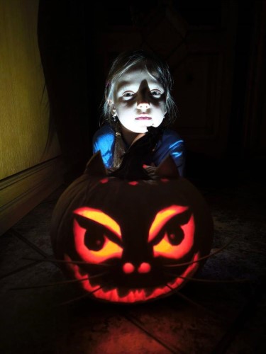 Vsledky soute o nejkrsnj vydlabanou dni