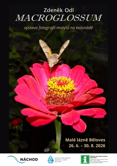 Zden�k Odl: MACROGLOSSUM
